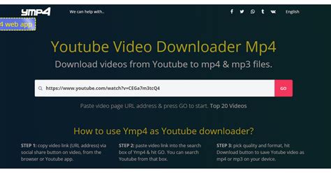 Safe Video Downloaders